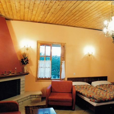 Epavli Antonis Apartment Konitsa Luaran gambar