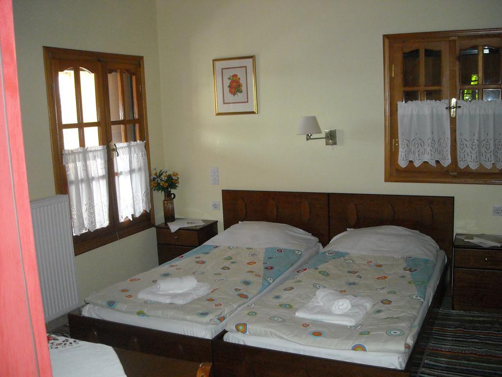Epavli Antonis Apartment Konitsa Luaran gambar